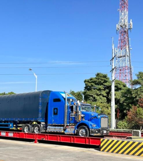 Basculas 3 Basculas 3